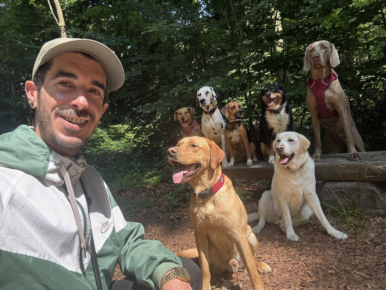 Gabriel Quiaios en promenade avec des chiens en forêt