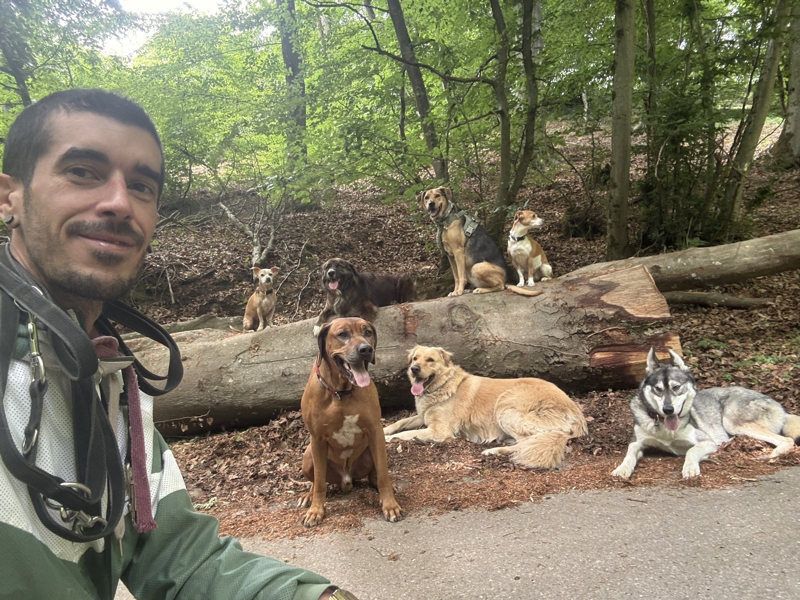 Pause pendant une promenade en forêt